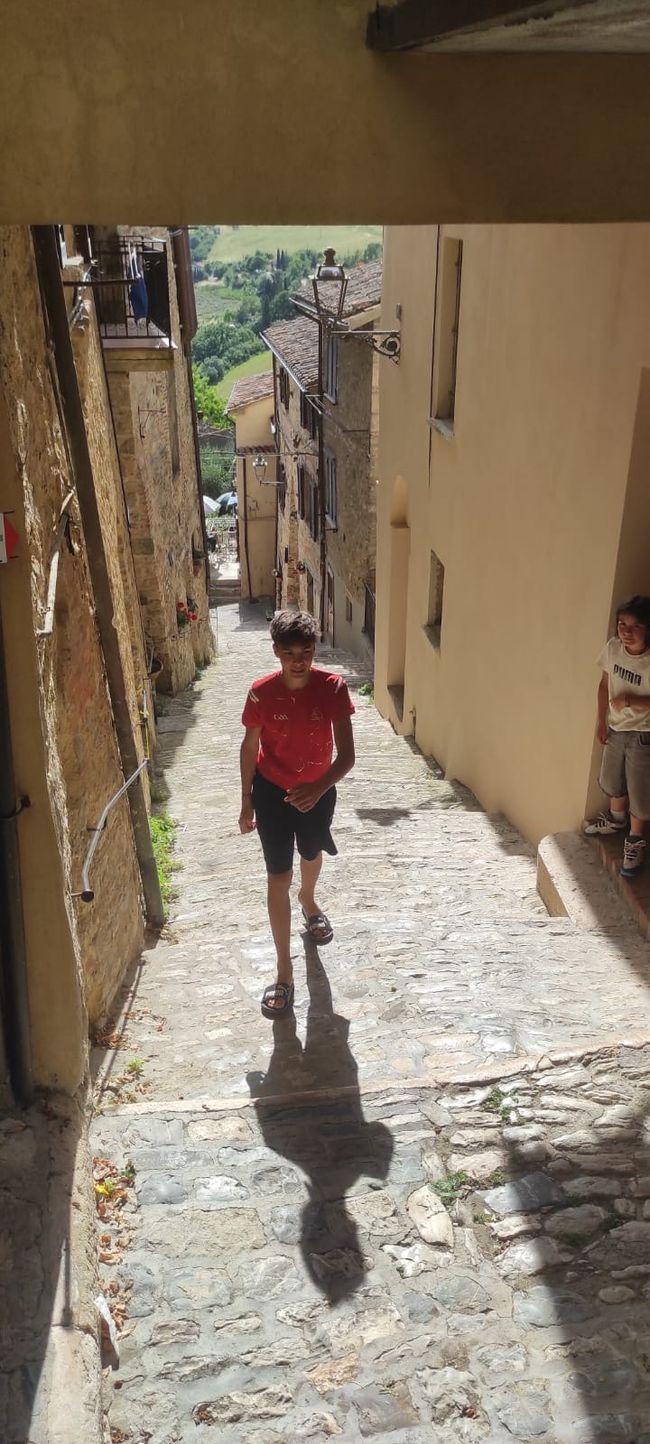 Assisi