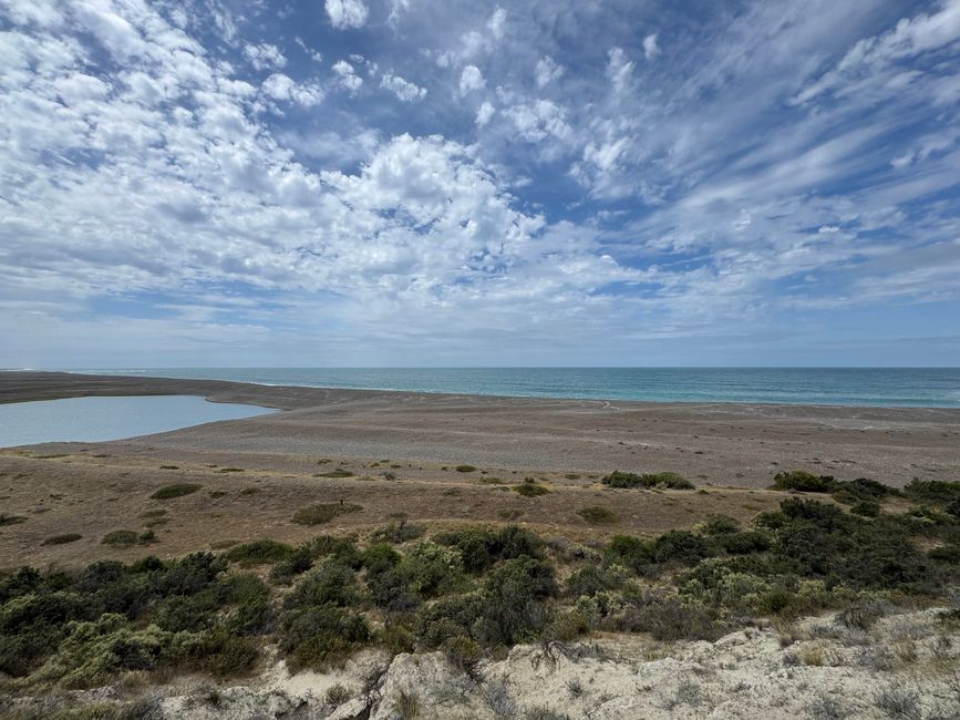 Peninsula Valdes: stunning landscape and a lot of wind!