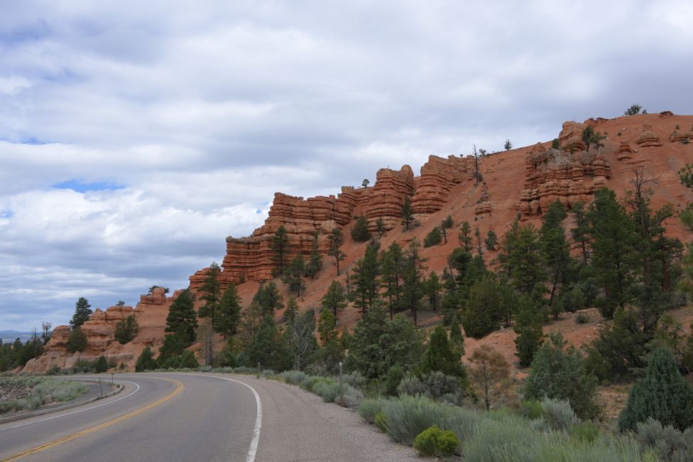 Red Canyon