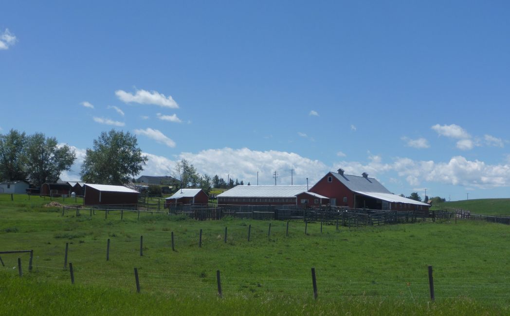 2025-07-05 -> Calgary
