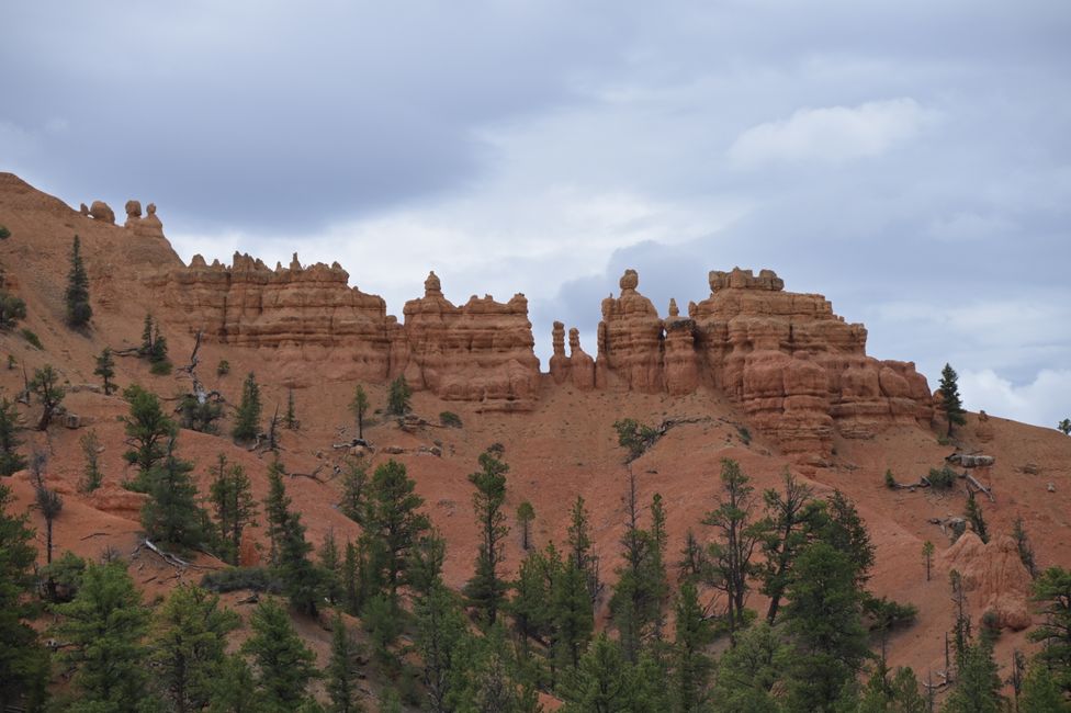 Red Canyon