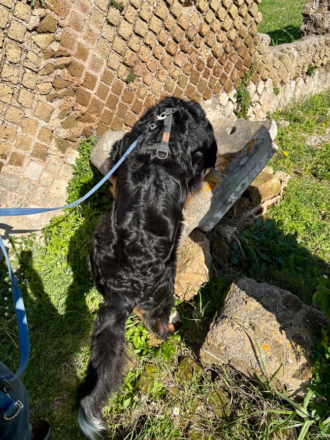 Sperlonga ☀️☀️☀️🌩️