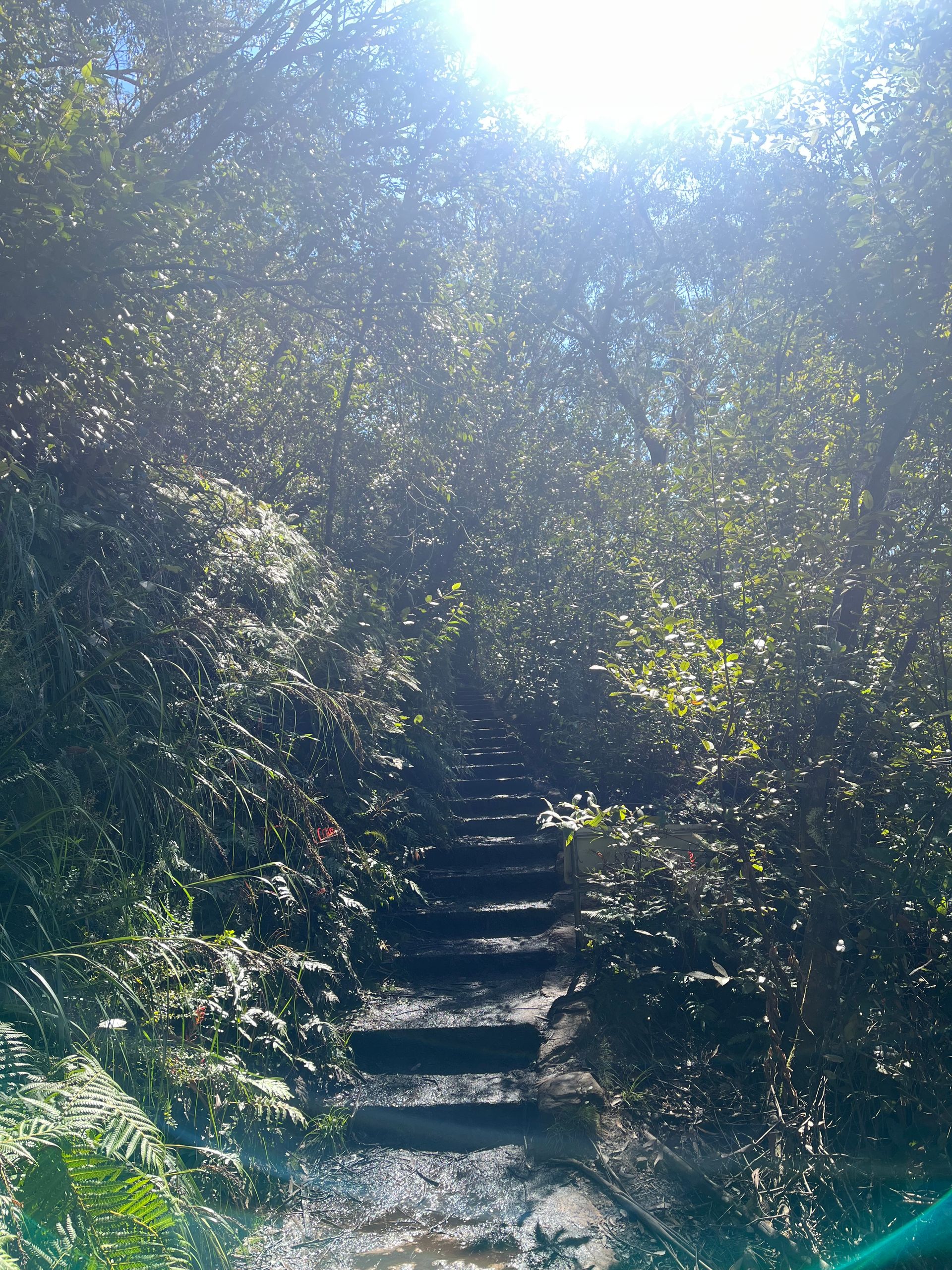 Montañas Azules