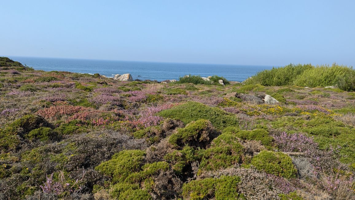 Vierte Etappe von Viana do Castelo bis nach Vila Praia de Ancora