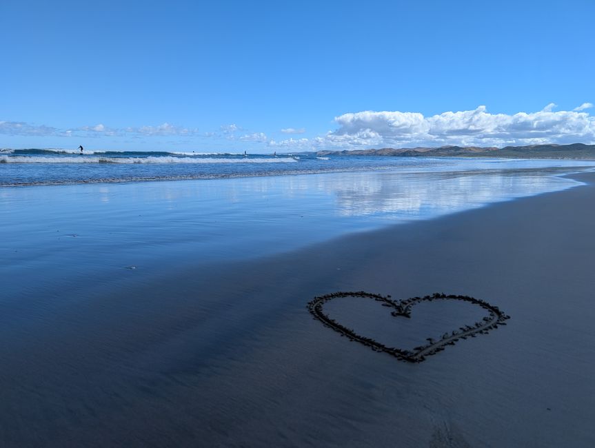 Ruhe in Raglan & Wunder in Waitomo