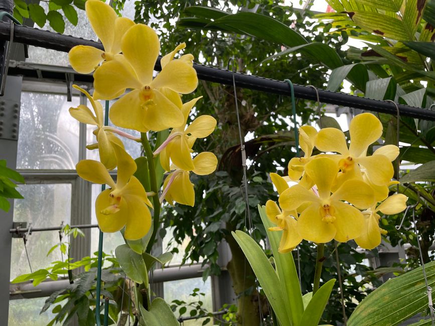 Kyoto Botanical Garden