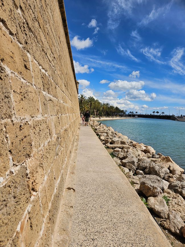 2025 - Aprile - Palma di Maiorca