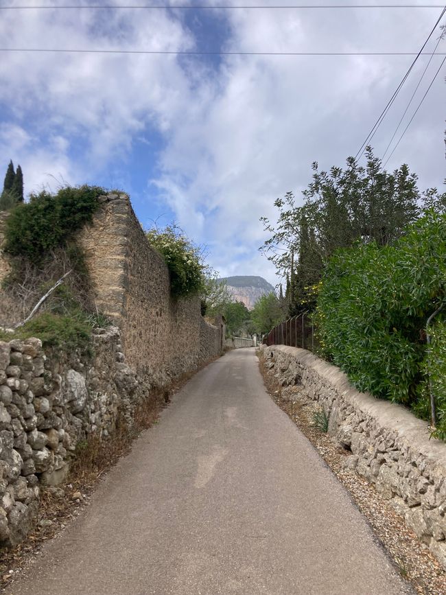 Mit dem Fahrrad von Binissalem zum Castle d‘ Alaro