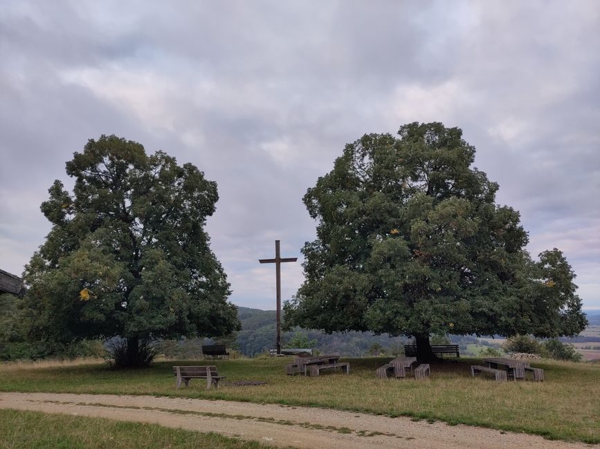 "Knüpser Linde" - ein sehr windiger, wunderschöner Schlafplatz