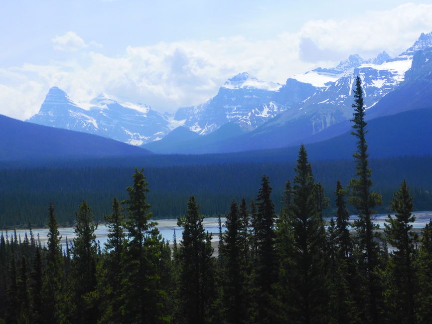 2025-06-19 sur l'Icefields Parkway de Jasper à Lake Louise, CA
