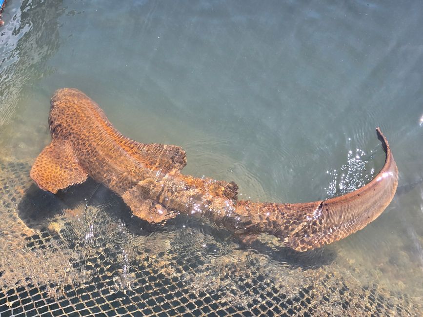 Langkawi - Reif für die Insel!