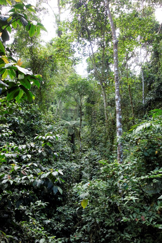 Die Entdeckung der Langsamkeit