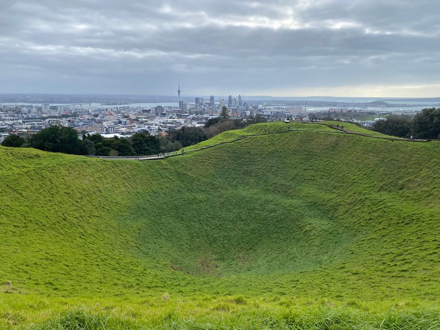 Auckland numero 1