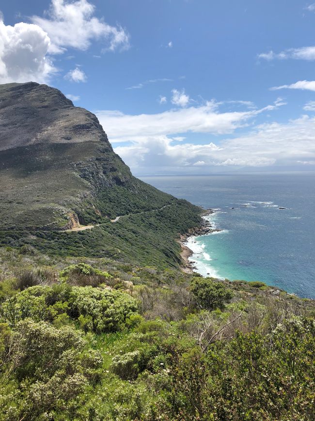 #5 - Cape Town - At the Cape of Good Hope