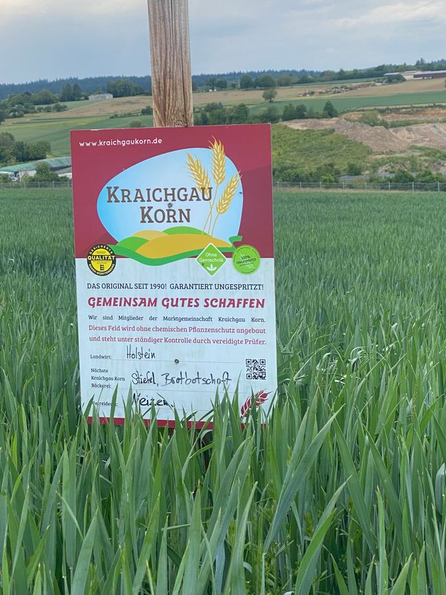 Alles wichtige steht auf diesem Schild