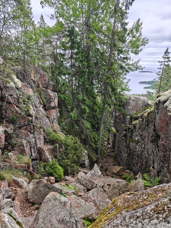 Parque Nacional Skoleskogens
