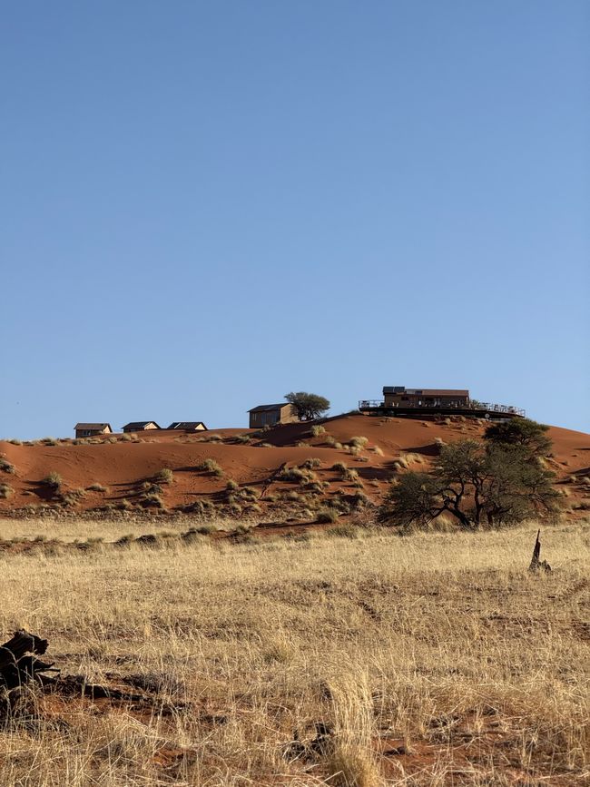 Namibia 2k25 🦓🏜️🐘