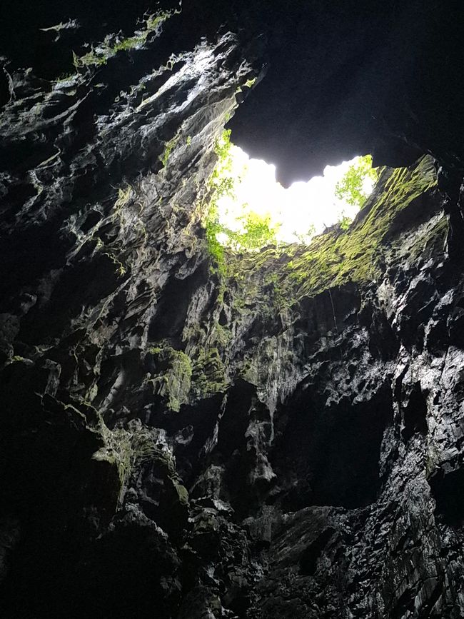 Parc National de Mulu