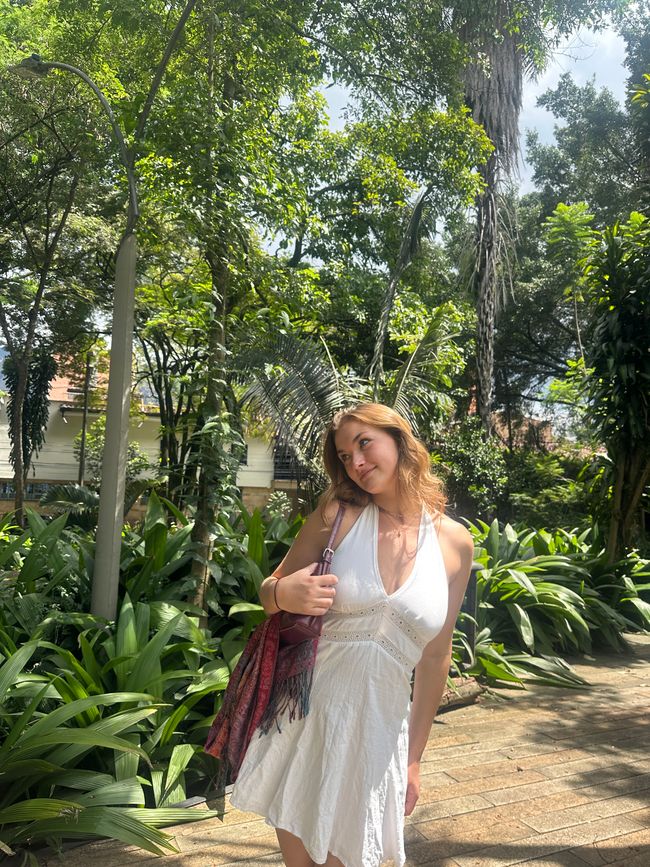 Medellín- die Stadt, in der alles erblüht?