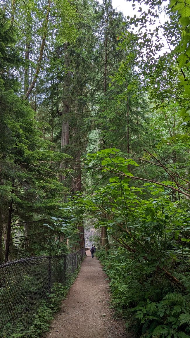 Elk Falls Provincial Park