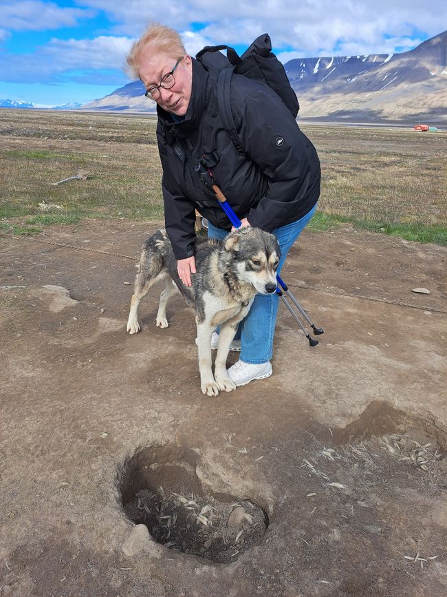 Spitzbergen / Svalbard (20 giugno/ June 20)