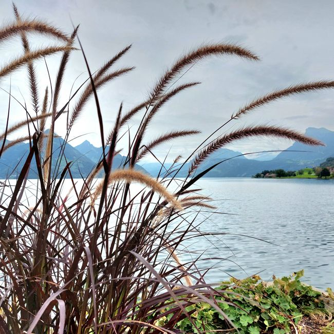 Lago di Garda - Stazioni del viaggio di ritorno