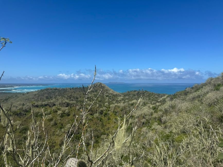 Isabela (Galápagos)
