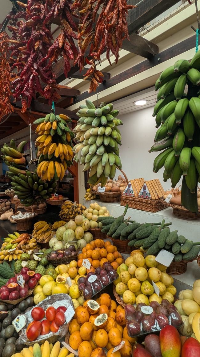 Tag 9: Funchal - mit einer rasanten Schlittenfahrt