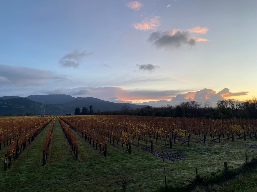 Off to the North Island