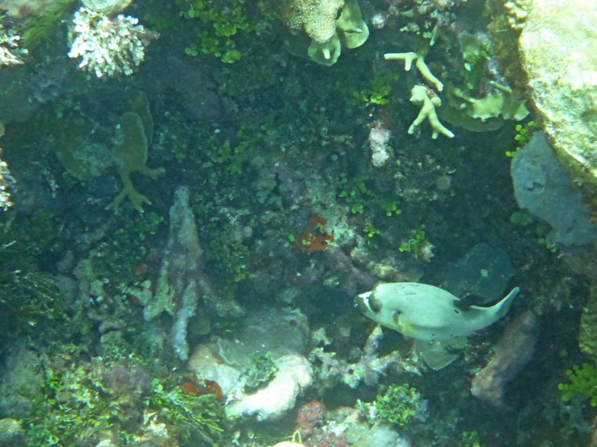 Waiag, Raja Ampat, Indonesia