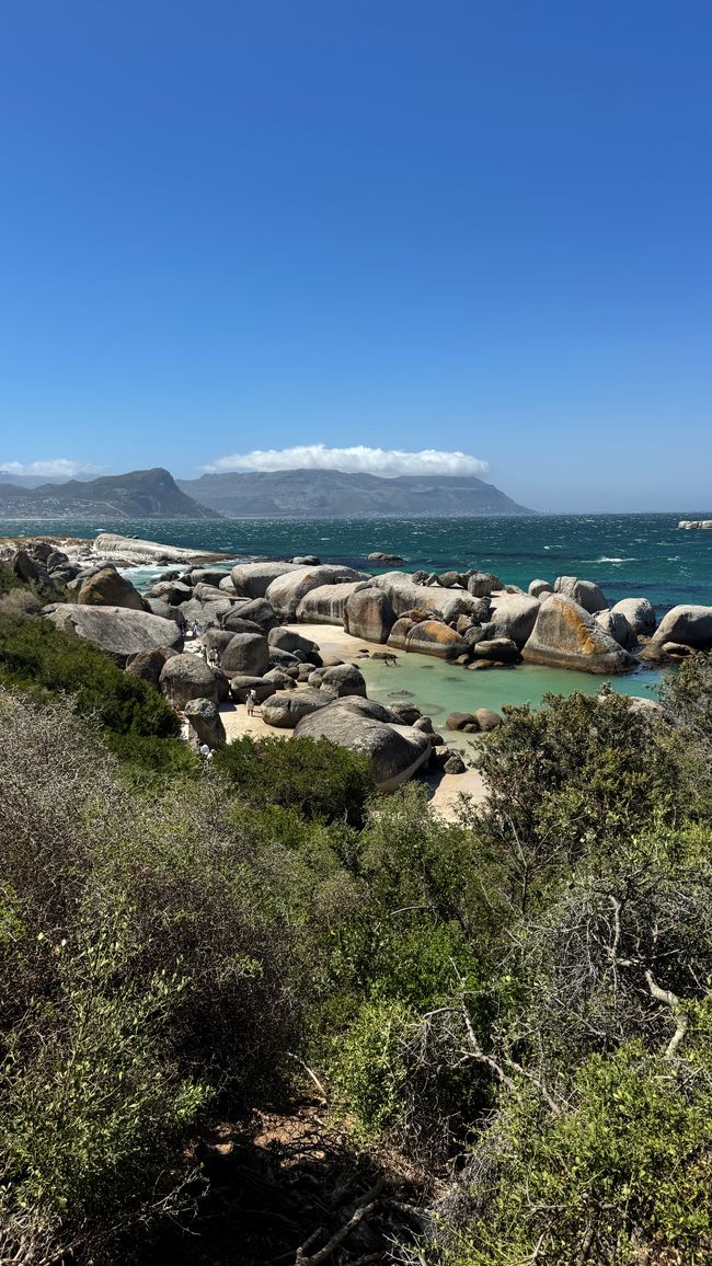 Tour del porto a Città del Capo, Spiaggia di Muizenberg, Spiaggia di Boulders, Capo di Buona Speranza