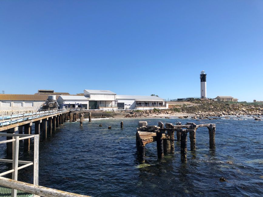 Auf der Jetty