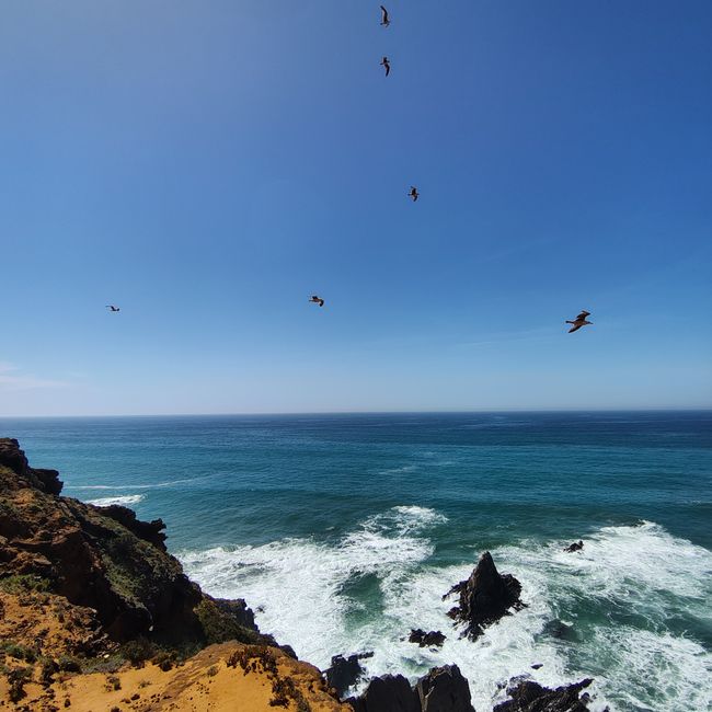 Zambujeira do Mar -> Almograve
