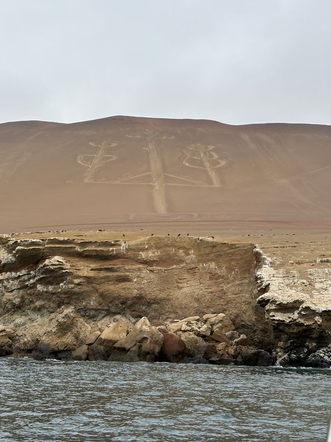 2025_Peru - Tag 4: Islas Ballestas und Ica/Huacachina