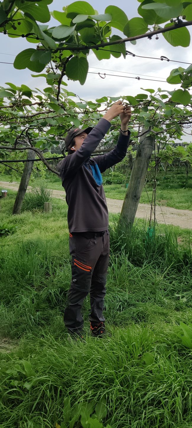 Auch am Geburtstag wird gea