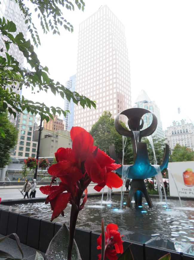 Türkisblau beleuchteter Brunnen