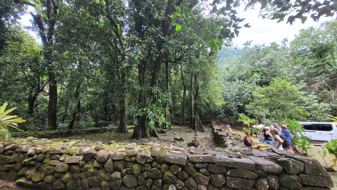 Mo’orea – impresionantes cumbres montañosas nos reciben