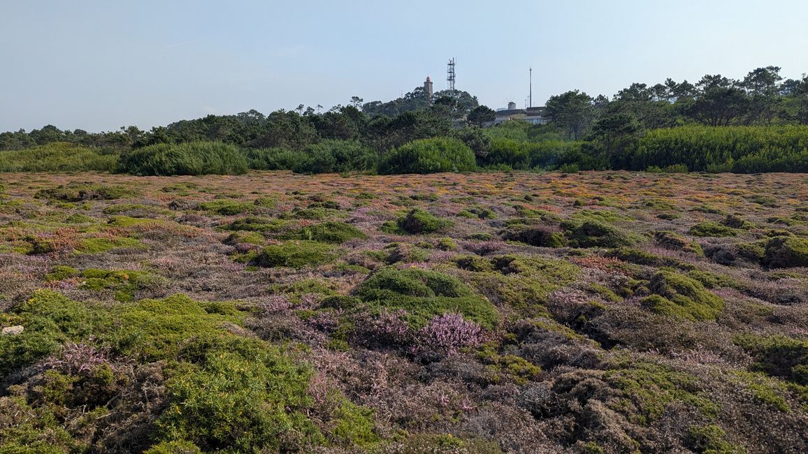 Vierte Etappe von Viana do Castelo bis nach Vila Praia de Ancora