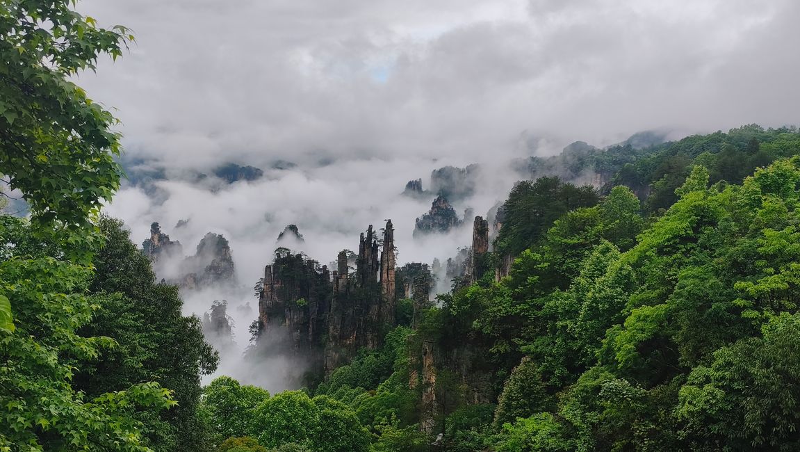 22. Mai.  Naturpark Zhangjiajie