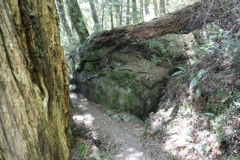 Auf nach Paradise zu "Herr der Ringe"