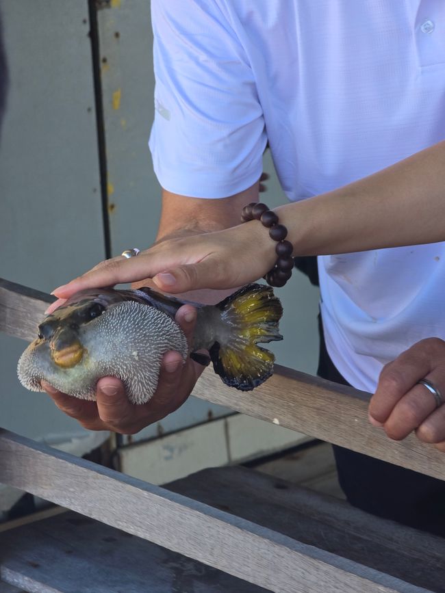 Langkawi - Reif für die Insel!