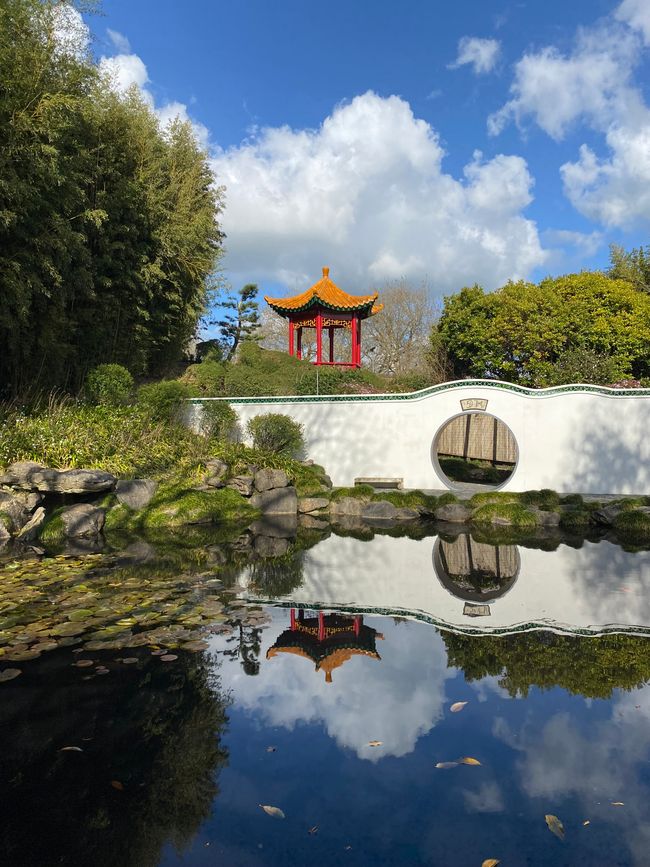 Hamilton Gardens - Chinese Garden