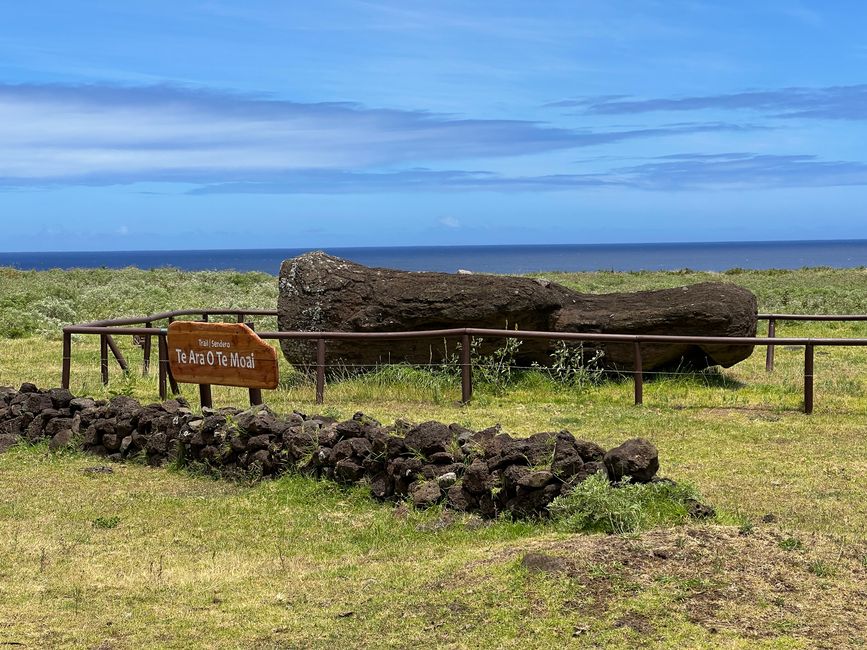 8: unterhalb der Moai-„Fabrik“ zwei große liegende Moai