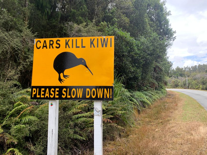 12_THUNDER CREEK FALL IN KUMARA