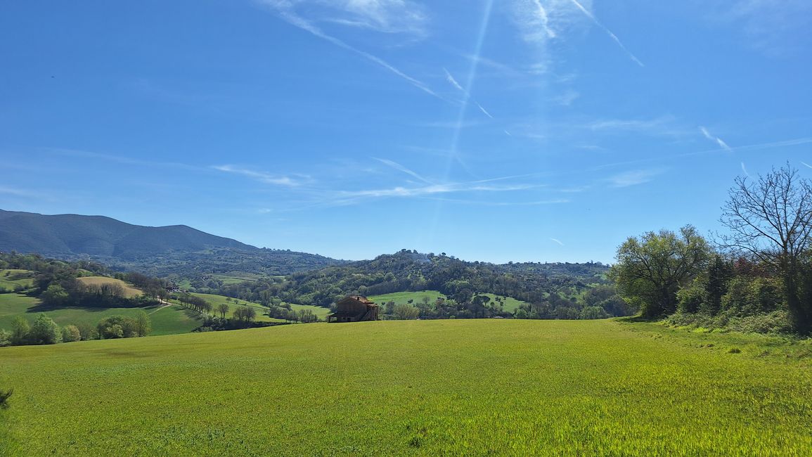 Wiesen, Olivenhaine und Buschlandschaft