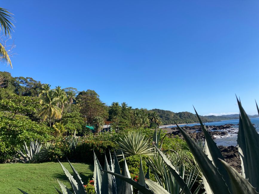 Nel paradiso