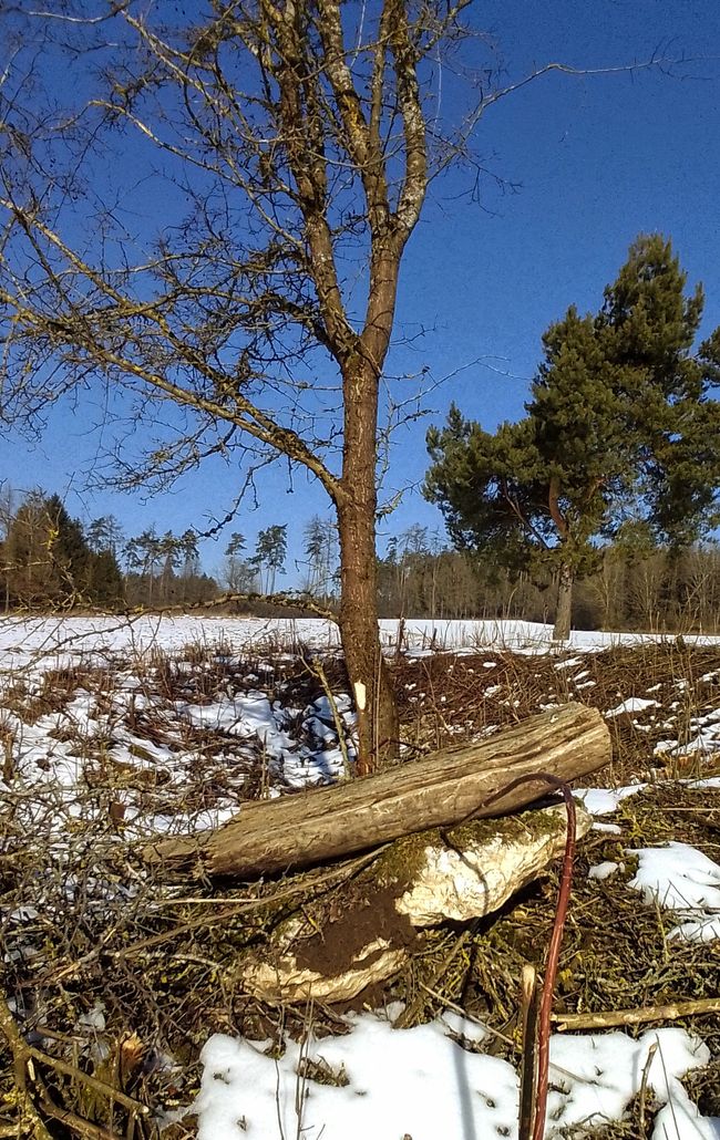 Reset - Neve di ieri, o quale fondamento vuoi costruire?