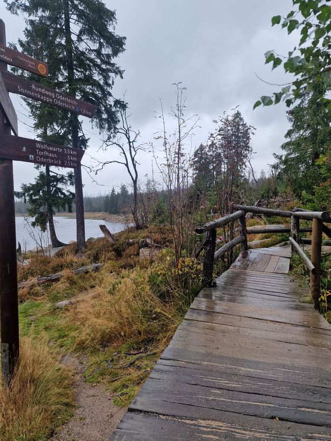 Kurztrip in den Harz 