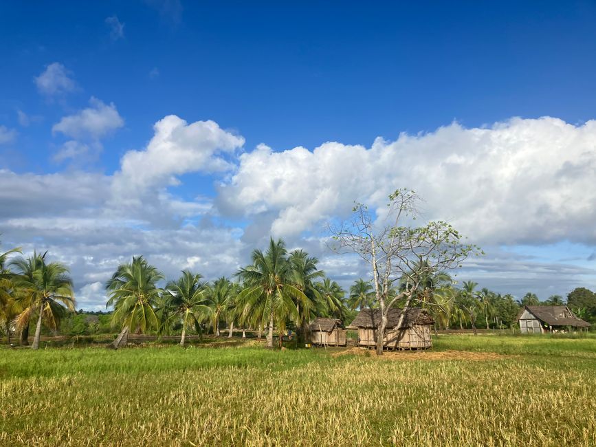 Paraíso insular Nosy Be