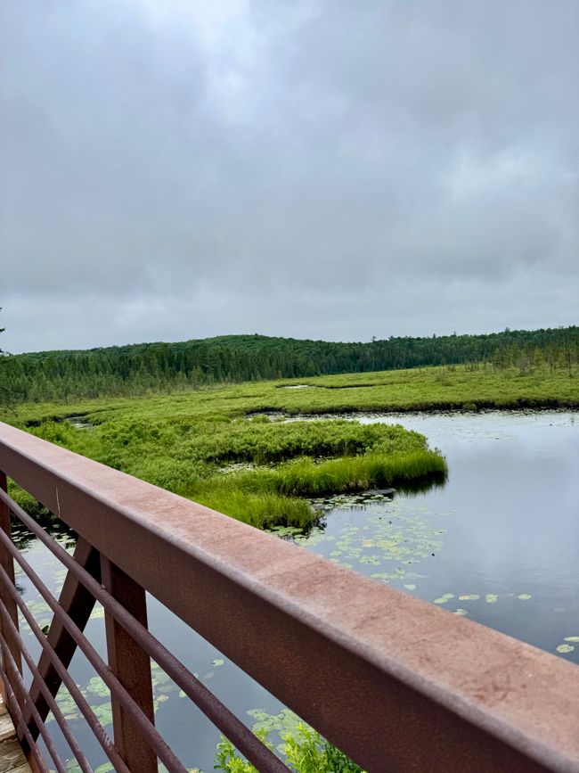 Huntsville - Mosquitoes - Miles and Misunderstandings